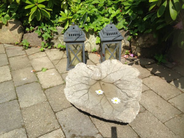 fuglebad formet som et rabarberblad