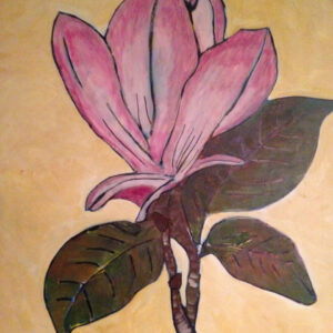 magnolia